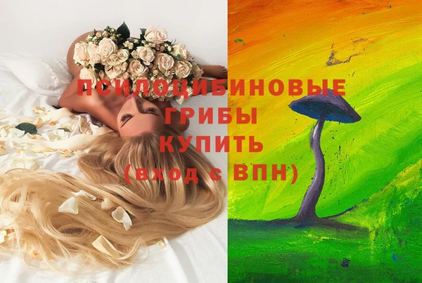а пвп мука Богородицк