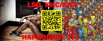 a pvp Моздок