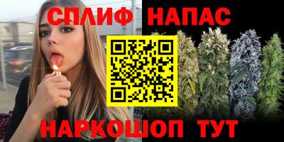 a pvp Моздок