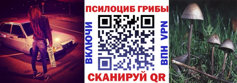 omg онион  Вятские Поляны  Галлюциногенные грибы мухоморы 