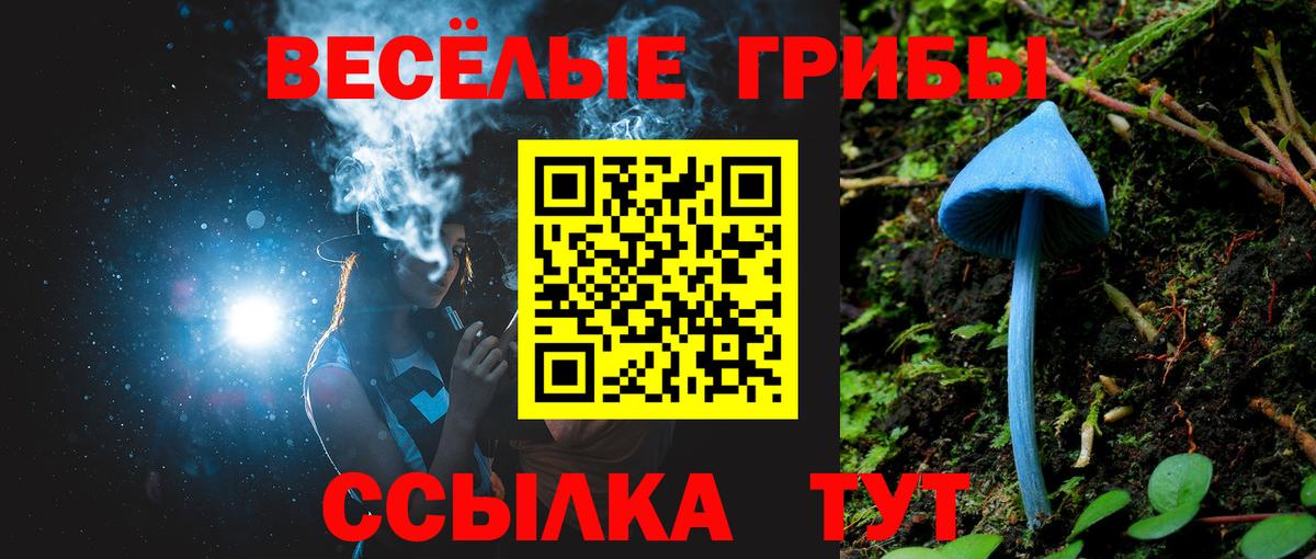 Галлюциногенные грибы Psilocybine cubensis Вятские Поляны