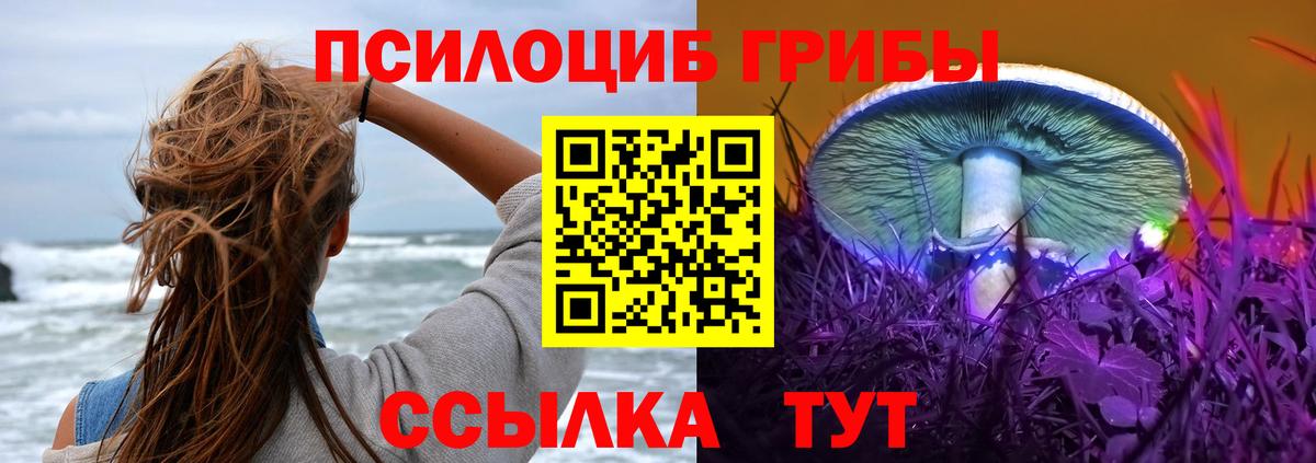 Вятские Поляны  Галлюциногенные грибы мухоморы  Вход с VPN 